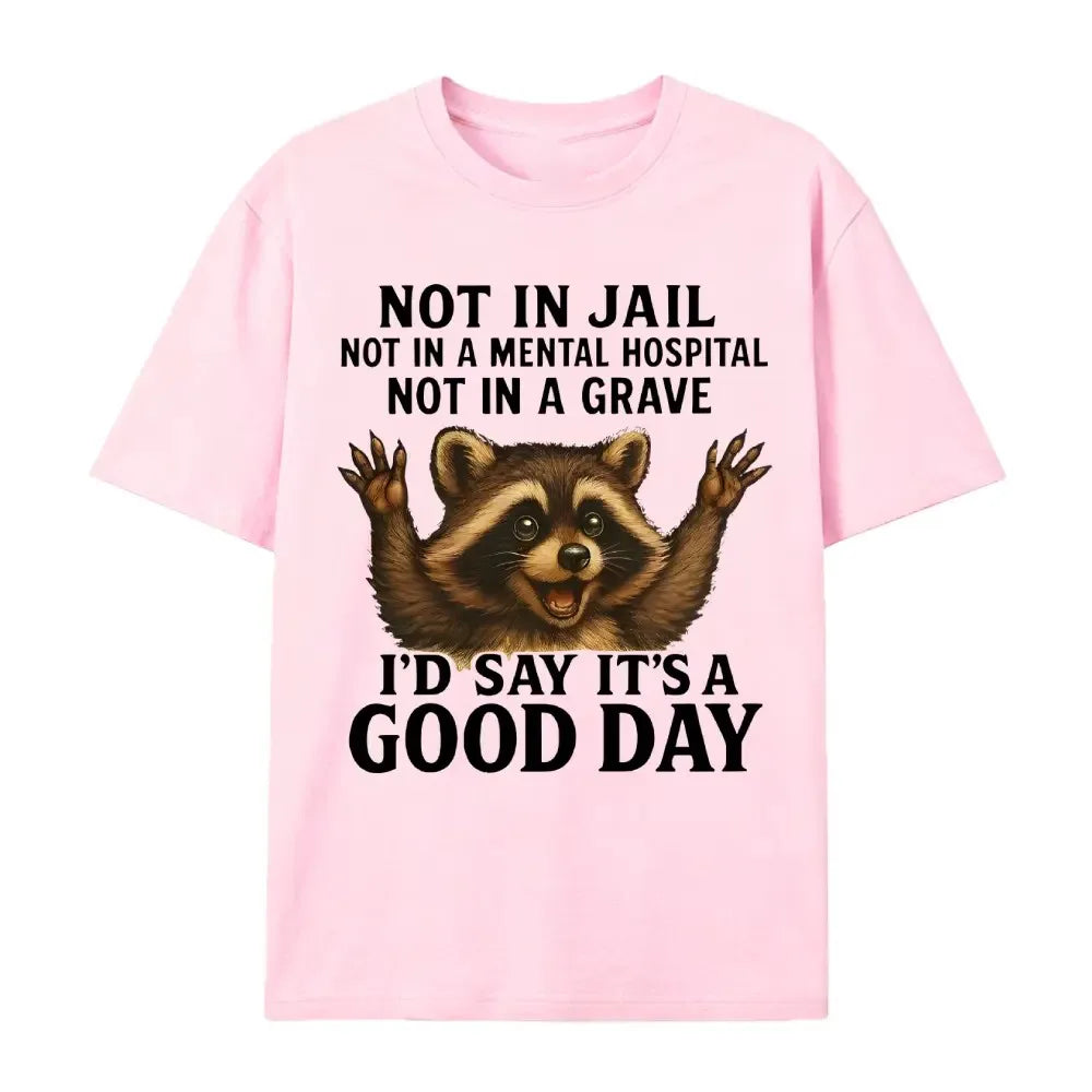 Not In Jail Good Day Raccoon Funny Graphic T-Shirt / Sweatshirt / Hoodie