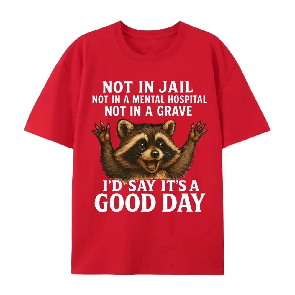Not In Jail Good Day Raccoon Funny Graphic T-Shirt / Sweatshirt / Hoodie