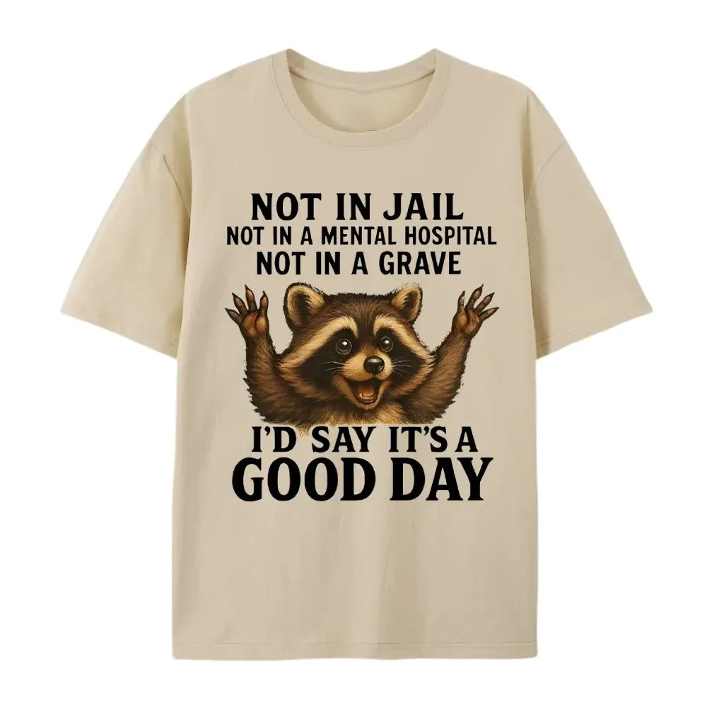 Not In Jail Good Day Raccoon Funny Graphic T-Shirt / Sweatshirt / Hoodie