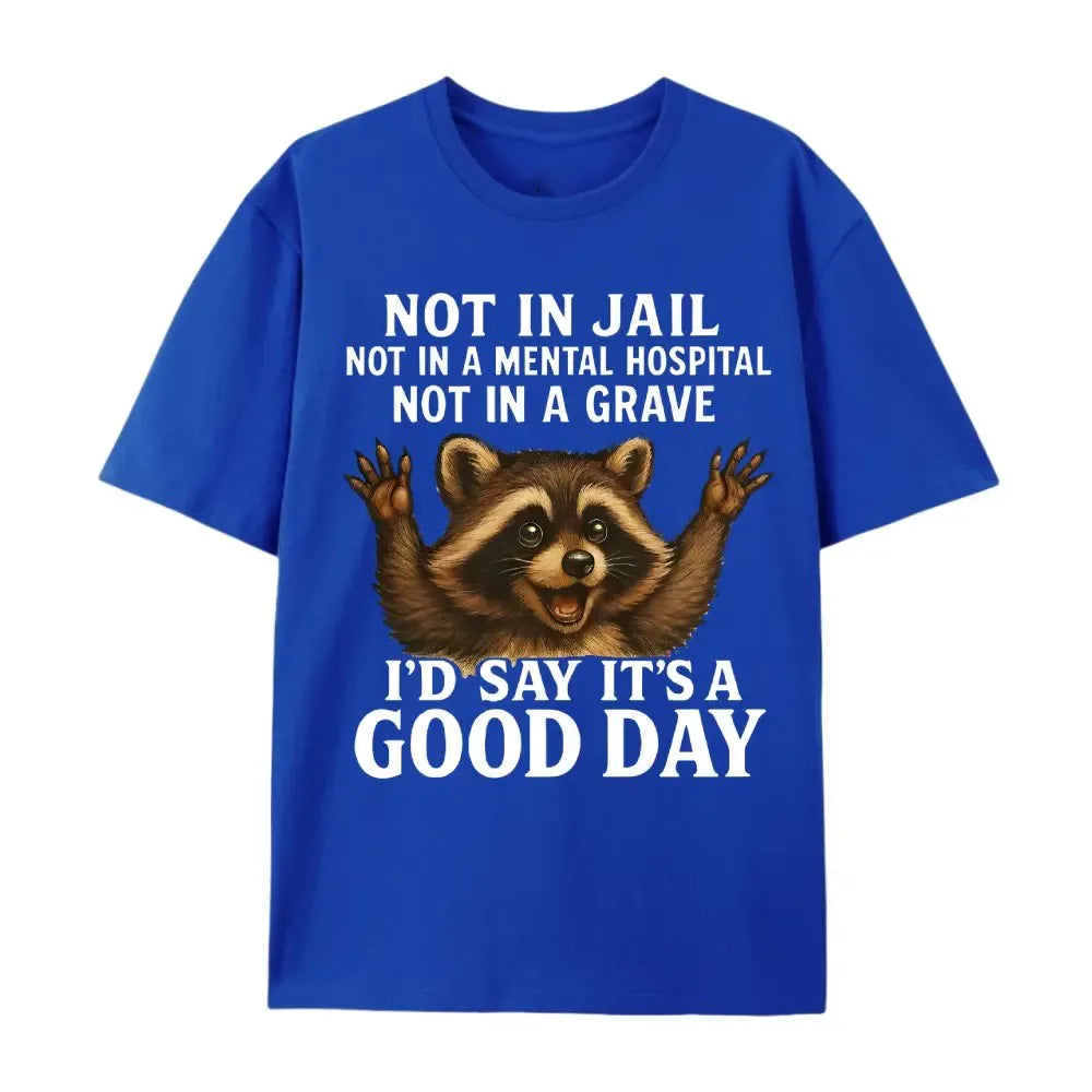 Not In Jail Good Day Raccoon Funny Graphic T-Shirt / Sweatshirt / Hoodie