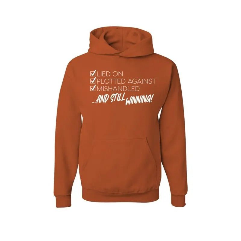 Lied On Plotted Against Mishandled And Still Winning T-Shirt / Sweatshirt / Hoodie